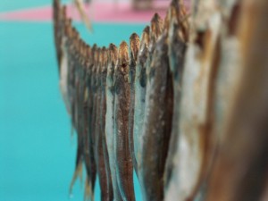 eco calendario maggio