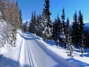 sci-di-fondo-torgnon