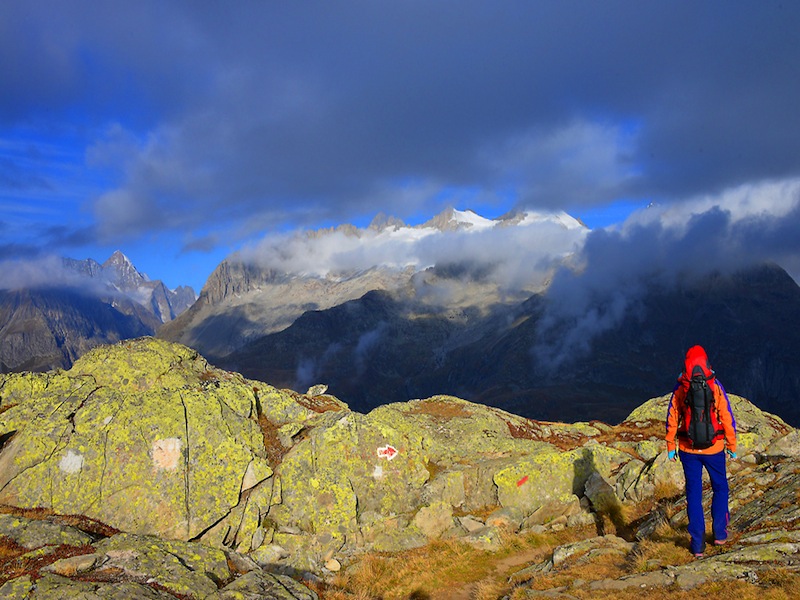 aletsch