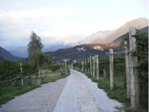 agricola vallecamonica