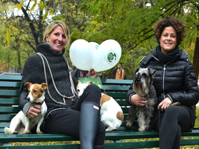 area cani parco sempione