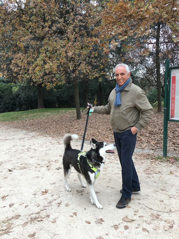 area cani sempione