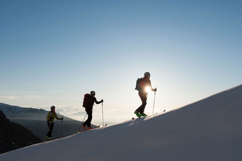 aprica