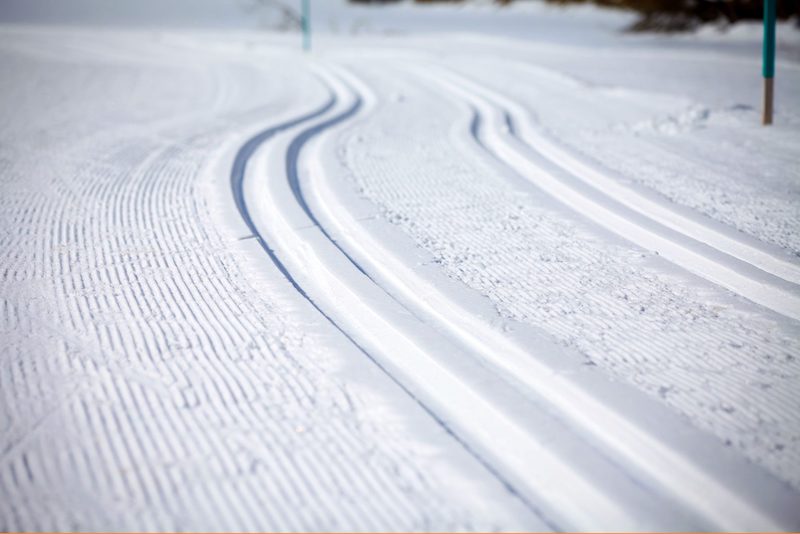aprica