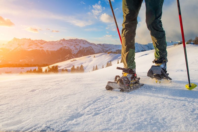 aprica