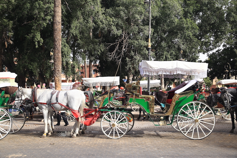 marrakech