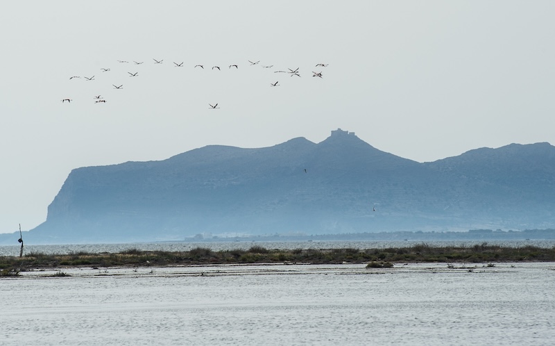 marsala e mozia